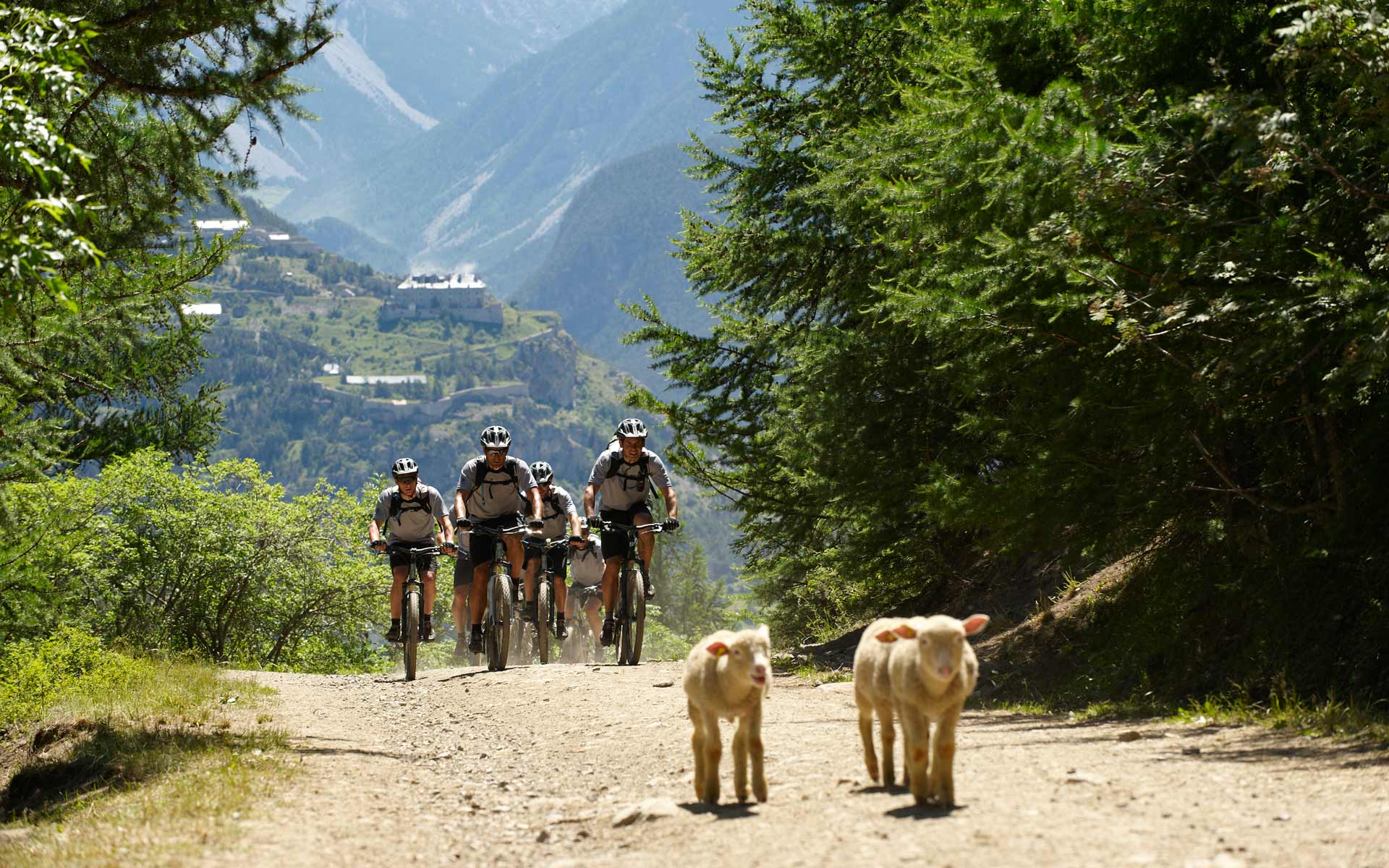 Aides à l'acquisition d'un vélo 